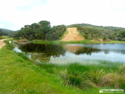 Ruta senderismo 40000 pasos; clubes de montaña parque nacional de peñalara actividades jubilados mad